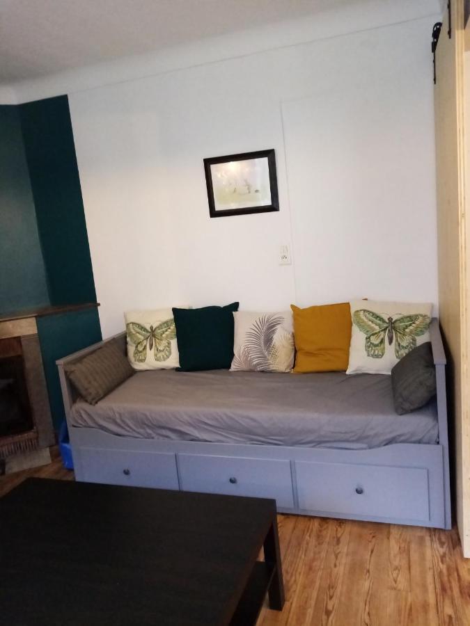 Maison 4 Personnes En Bord De Riviere Sarrancolin エクステリア 写真